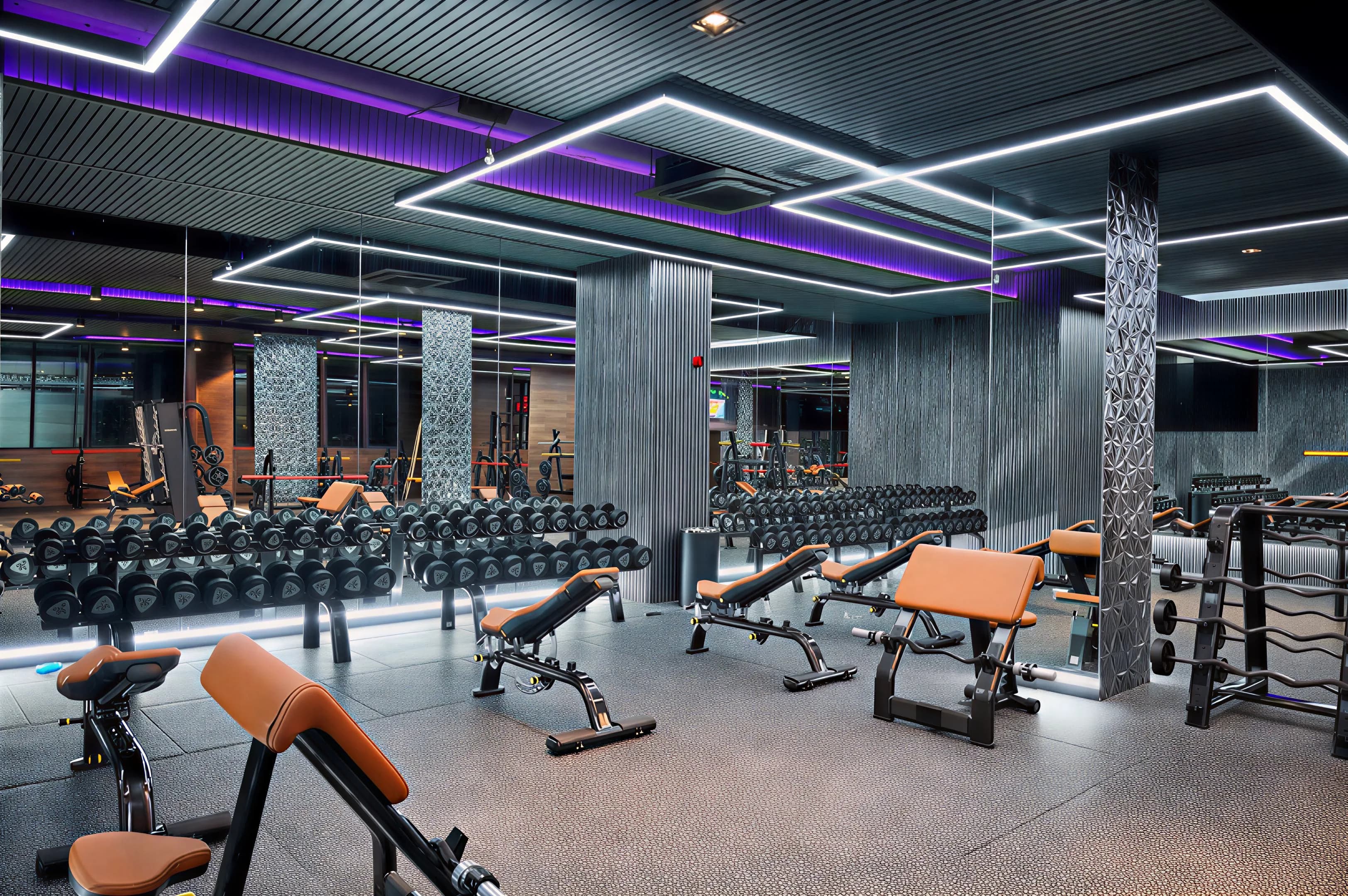 Фитнеси Пулс