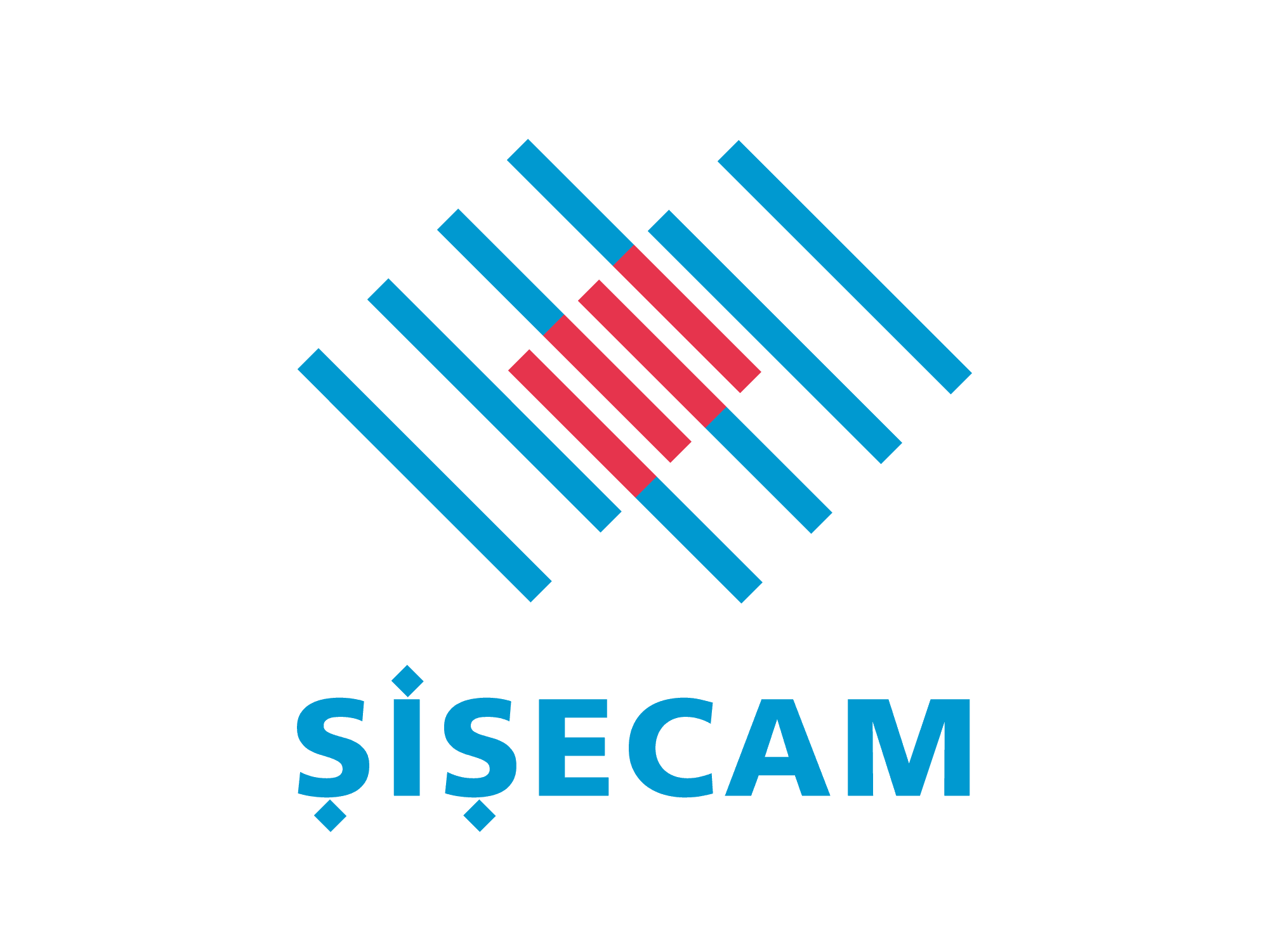 Sisecam logo